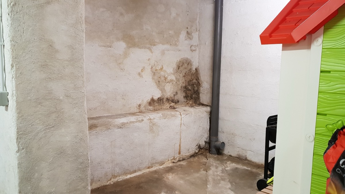 Infiltrations d'eau - Expertise humidité à Nancy